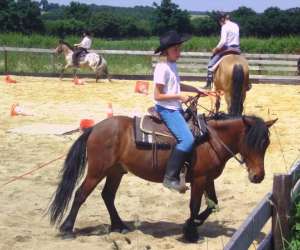 Country Pony Ranch