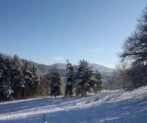 photo Location vacances gite les cerisiers Escoutoux 3465