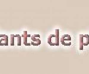 photo Daphne-services Brousse 3560