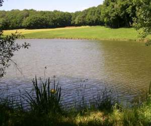 photo Gites campagne avec etang de peche prive Le Rouget 3570