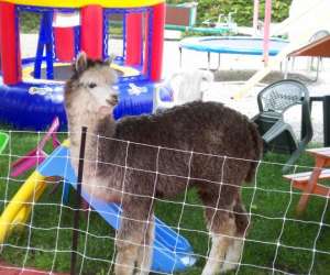 photo Zanimopark Le Cendre 4632