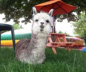 photo Zanimopark Le Cendre 4634