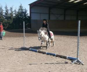 photo Centre questre de gannat Gannat 3791
