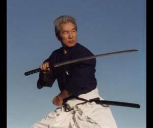 Yoseikan Budo