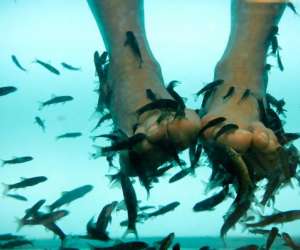 photo Esthetica - spa Clermont Ferrand 4049