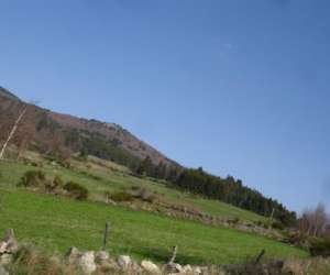 photo Margerideluux Auvers 4202