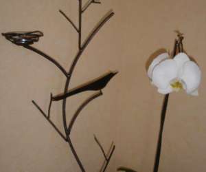 photo Centre de naturopathie christine corderot Clermont Ferrand 4168