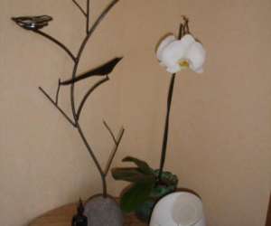 photo Centre de naturopathie christine corderot Clermont Ferrand 4169