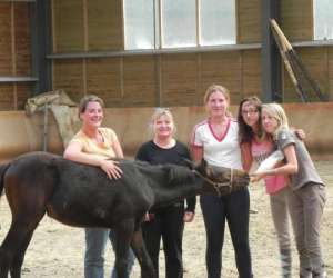 photo Haras du chatelet Antignac 4590