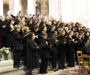 photo Chorale universitaire de clermont-ferrand Clermont Ferrand 4958