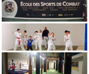 photo Ifo - international fight organisation - Montlucon 5596