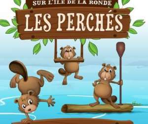 photo Parc aventure accrobranche les perchs St Pourcain Sur Sioule 5906