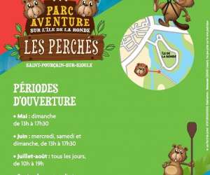photo Parc aventure accrobranche les perchs St Pourcain Sur Sioule 5909