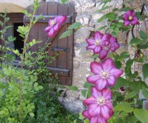 photo Gauvin marion St Gervais D Auvergne 4360