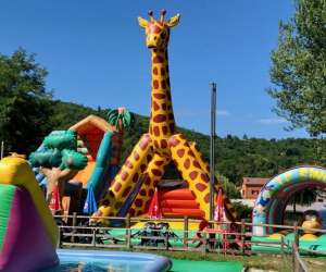 photo Plant'air Brives Charensac 6102
