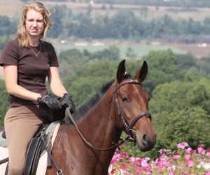 Centre Equestre Du Montcelet