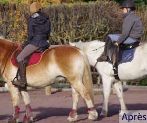 photo L'etrier d'auvergne St Genes Champanelle 4494