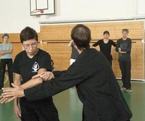 Tai Yang Auvergne Ecole De Tai Chi Chuan Et De Chi Kong