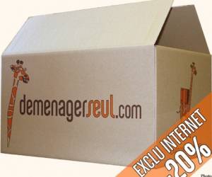 Demenagerseul.com