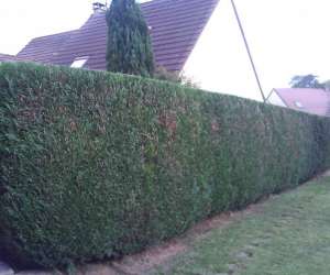 photo S.a.r.l nous memes services La Varenne St Hilaire 9266