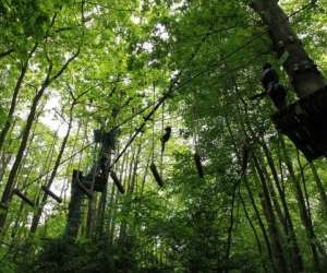 photo Parc aventure land Magny En Vexin 18930