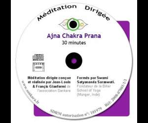 photo Hatha yoga nidra sankara Paris 11eme Arrondissement 4443