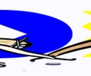Hockey paris subaquatique Hockey paris subaquatique