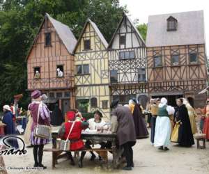 photo Anne de montmorency, seigneur d'ecouen Ecouen 4558