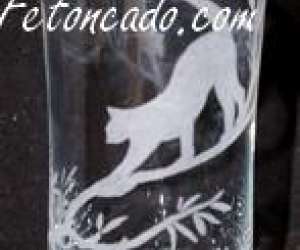 photo Fetoncado.com Le Plessis Trevise 4760
