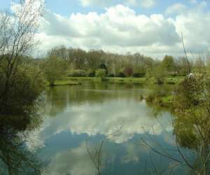 photo Peche de la truite et carpodrome Magny Les Hameaux 5022