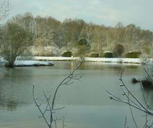 photo Peche de la truite et carpodrome Magny Les Hameaux 5023