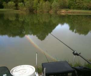 photo Peche de la truite et carpodrome Magny Les Hameaux 5032