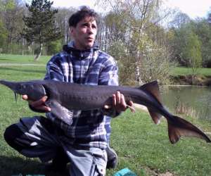 photo Peche de la truite et carpodrome Magny Les Hameaux 5039