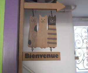 photo 3 ptits chats Palaiseau 5216
