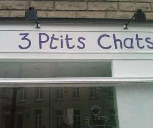 photo 3 ptits chats Palaiseau 5218