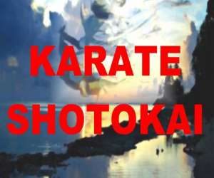 photo Kobudo centre d'etude du karate shintaido de ballancourt Ballancourt Sur Essonne 5241