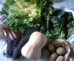 photo Epicerie bio tout bio tout beau  Breval 5252