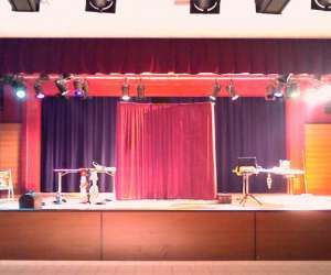 photo Magic  regis   magicien Clamart 5461