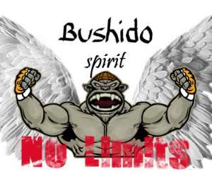 Mma Bushido Spirit