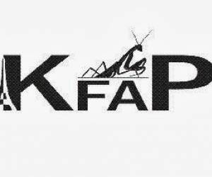 Kfap - Kung Fu A Paris