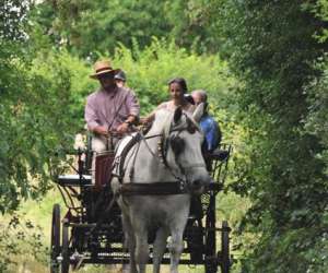 photo A cheval un point c'est tout Civry La Foret 5694