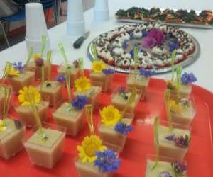 photo Ateliers sauvages et comestibles Viarmes 16601