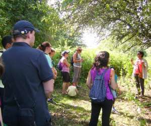 photo Ateliers sauvages et comestibles Viarmes 16609