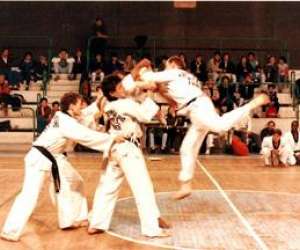 Esm Tae Kwon Do 