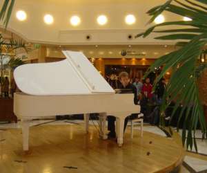 Animation Piano Pour Evenements