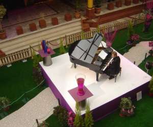 photo Animation piano pour evenements Villiers Sur Marne 6538