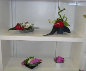 photo Creation fleurs Arpajon 6940