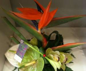 photo Creation fleurs Arpajon 6965