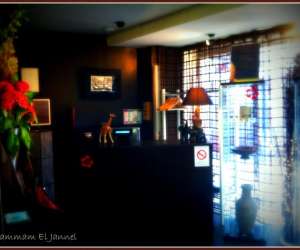 photo Hammam el jannel Montreuil 7276