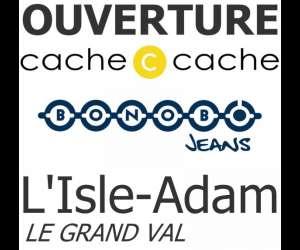 photo Cache-cache & bonobo - l'isle-adam L Isle Adam 7657